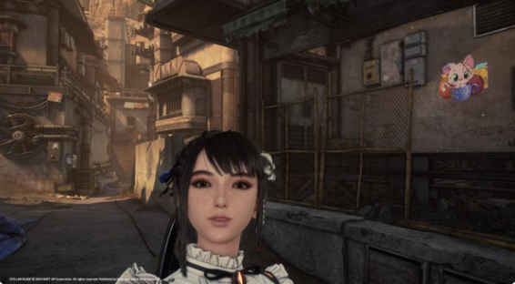 剑星猫咪摄影展全位置在哪?