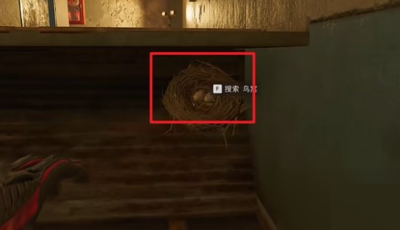 三角洲行动零号大坝鸟窝有什么