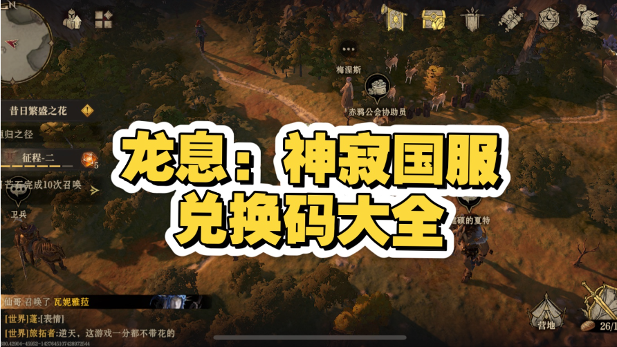 龙息神寂兑换码怎么用？