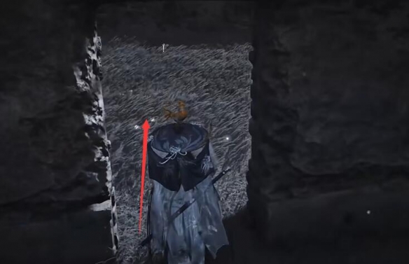 燕云十六声六疾哀鸣任务怎么做?