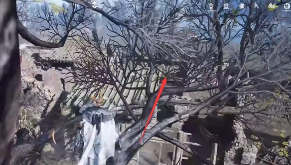 燕云十六声六疾哀鸣任务怎么做?