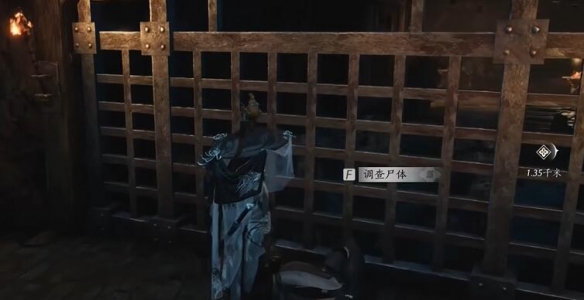 燕云十六声六疾哀鸣任务怎么做?