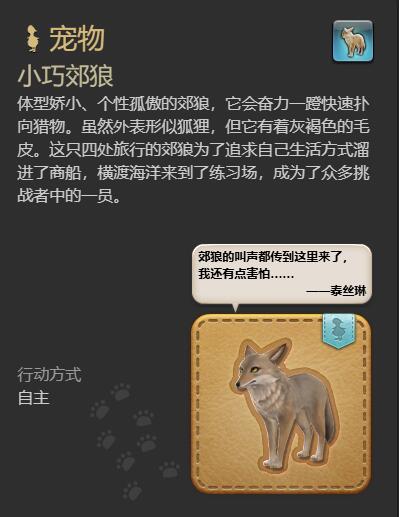 最终幻想14水晶世界小巧郊狼宠物怎么获得?