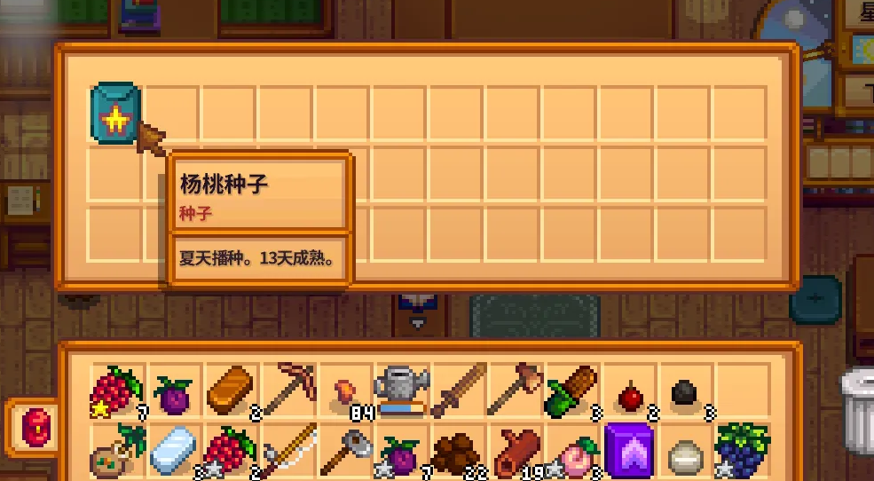 星露谷物语士兵的星星任务怎么做?