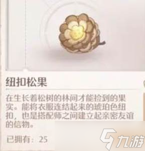 《无限暖暖》纽扣松果