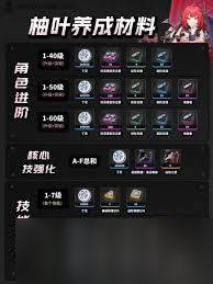 绝区零柚叶养成材料有什么