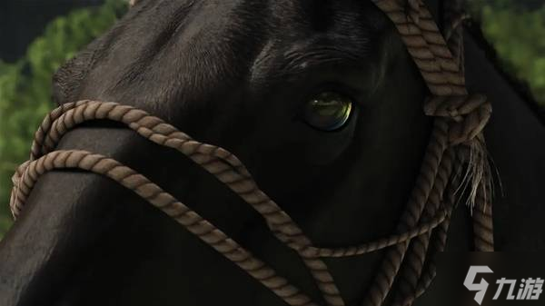 《羊蹄山之魂》拍照功能玩法讲解 羊蹄山之魂摄像功能怎么用