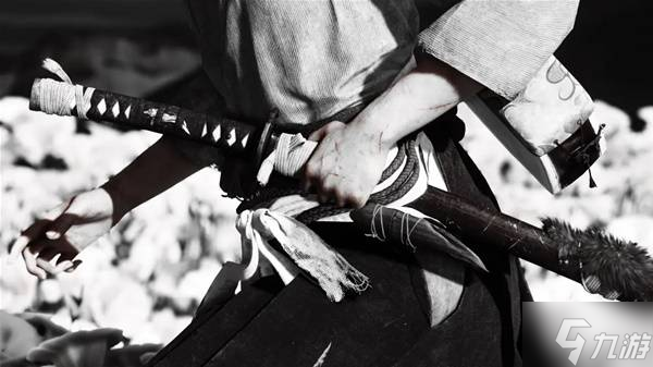 《羊蹄山之魂》拍照功能玩法讲解 羊蹄山之魂摄像功能怎么用