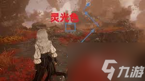 光与影33号远征队眼眸岛怎么探索