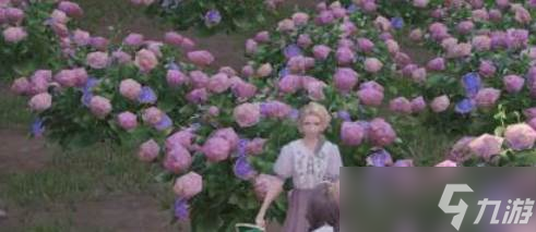 《无限暖暖》不会伤害到花儿的鞋子