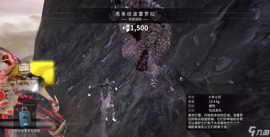星际战甲动物捕捉需要什么