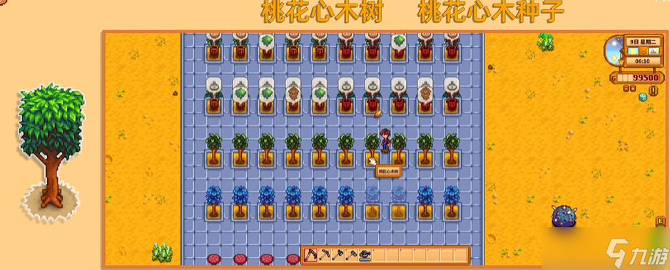 星露谷物语桃花心木长什么样