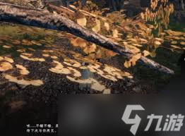 下一站江湖2富家千金怎么开局
