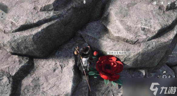燕云十六声一花中愿任务怎么做 来生岸之一花中愿怎么完成