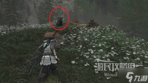 《羊蹄山之魂》必中护身符获取方法 险中求护身符怎么获取