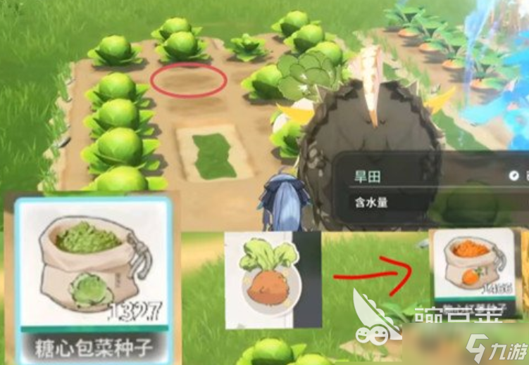 蓝色星原旅谣种菜玩法技巧 蓝色星原旅谣种菜教程