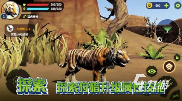 狮子游戏合集 2025狮子模拟手游分享