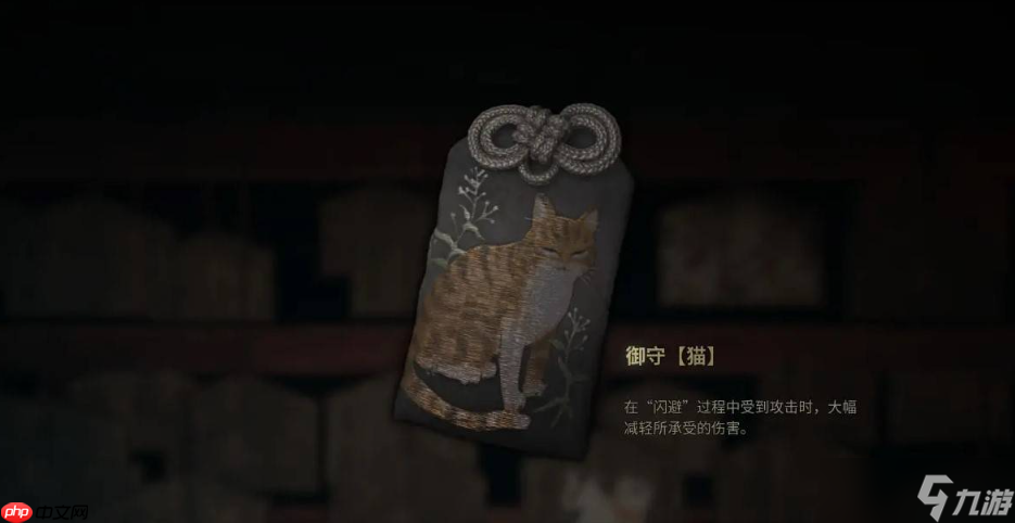 寂静岭f御守最强搭配教学